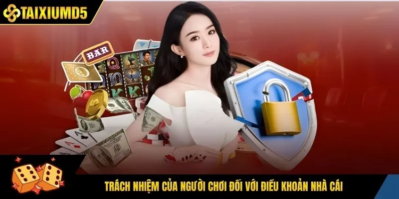 Trách nhiệm của người chơi đối với điều khoản nhà cái